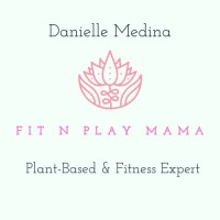 Fit N Play Mama LLC logo - Similar company to Launch Math + Science Centers