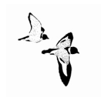 Bamford Consulting Ecologists logo - Similar company to Yeca