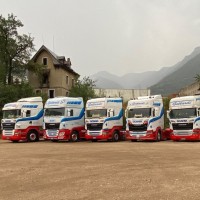 Gottardi Michele Autotrasporti srl Unipersonale logo - Similar company to F.Lli Benazzi S.R.L. Autotrasporti E Spedizioni