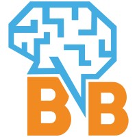 Big Brain Technical Solutions logo - Similar company to Bareeh