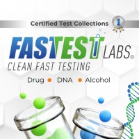 Fastest Labs of SW Detroit logo - Similar company to Agile Mindset 247
