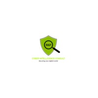 B & P Cyber Intelligence Consult