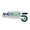 AMEXICCOR logo - Similar company to Pcm