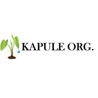 Kapule Organization logo - Similar company to Kapulellc