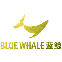 蓝鲸AI TECH logo - Similar company to On-Talents
