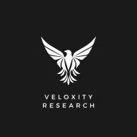 Veloxity Research logo - Similar company to Research & Analysis Pro