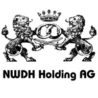 NWDH Holding AG logo - Similar company to Stocubo