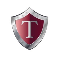 Triton Capital Solutions logo - Similar company to Triton Capital Lending