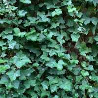 Liberation Technology logo - Similar company to Liberation Technology Services