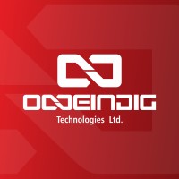 Oneindig Technologies Ltd. logo - Similar company to Micro Network (India) Private Limited