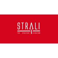 StraLi for strategic litigation logo - Similar company to Privacy Network