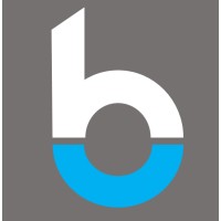 BrikStats Consulting logo - Similar company to Planner Infra