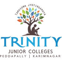 Trinity Academy logo - Similar company to Benchmark Media