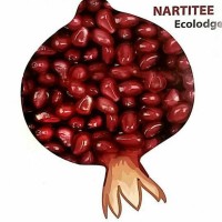 Nartitee Ecolodge logo - Similar company to Nutripal