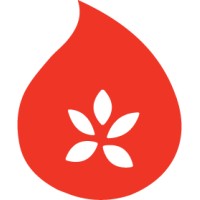 Salsa Shop logo - Similar company to Ease Software