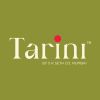 Tarini logo - Similar company to Dtsys Tech