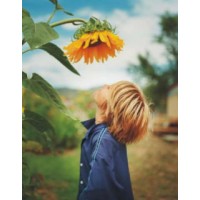 iQ Evaluations - Terri Burnette logo - Similar company to Tricounty Behavioral Health - Psychiatry And Tms Therapy