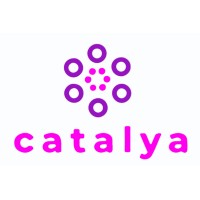 Catalya - Catalyzing Drug Success | Excipients & Cell Culture Coating logo - Similar company to Sailsense Analytics