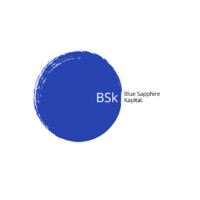 Blue Sapphire Kapital logo - Similar company to Seguro Energy Partners