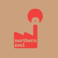 Northern Soul C.I.C. logo - Similar company to The Roots Programme