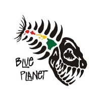 Blue Planet Surf logo - Similar company to Reinasan B.V.