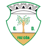 Grupo Desportivo De Foz Côa