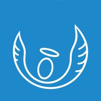 Angel Solutions logo - Similar company to Valideus