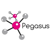 PEGASUS CHEMICALS logo - Similar company to Techtron