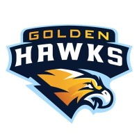 Golden Hawks logo - Similar company to Golden Hawk Technologies