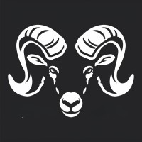 patrickwalther.ch logo - Similar company to Agvisorpro | Answers Now