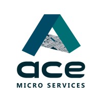 Ace Micro Services logo - Similar company to Dataposit Limited