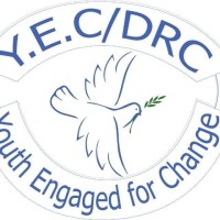 Youth Engaged for Change DRC logo - Similar company to Youth.Gov
