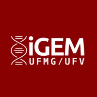 Igem Ufmg/Ufv Brazil