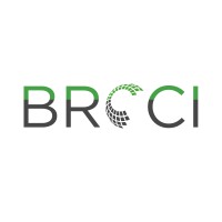 BRCCI logo - Similar company to Mis Cuotas