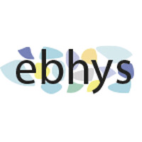 EBHYS logo - Similar company to Nèos Solutions