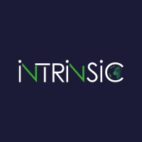 Intrinsic Globe logo - Similar company to Intrinsic Technologies
