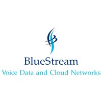 BlueStream Consulting logo - Similar company to Connect Technologies
