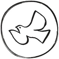 Paloma Home Studio logo - Similar company to Flight Design Co.