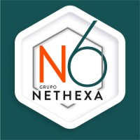Grupo Nethexa logo - Similar company to Scenor | The Science Crew