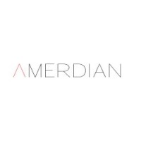 Amerdian logo - Similar company to Mindlink Infotech