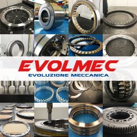 Evolmec® - Evoluzione Meccanica logo - Similar company to Distitec Srl® - Special Bearings For Iron And Steel Industry