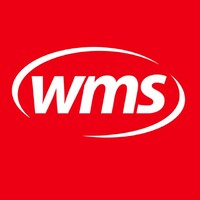 Witmer Motor Service Llc