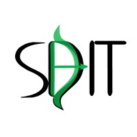 SD IT Diana Sditanova logo - Similar company to Ness Solution