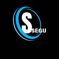 Ssegu logo - Similar company to Computer Pride Business Software Solutions
