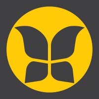 Apollo Media logo - Similar company to Apolloweb