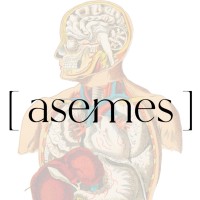 ASEMES logo - Similar company to Nyki