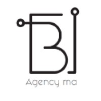 Business Intelligence Agency SARL logo - Similar company to Groupe Hyperforme