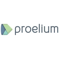 Proelium Consultoría Empresarial logo - Similar company to Christian Morquecho - Consultoría Empresarial