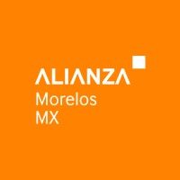 NIP ALIANZA logo - Similar company to Pensiones 360