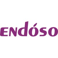 Endoso Life logo - Similar company to Promed Ltd